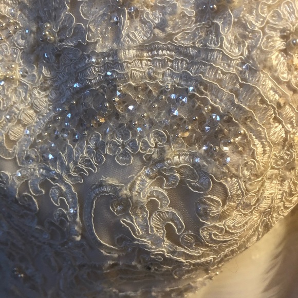 Ivory/champagne Wedding Dress with bustled train. - Picture 7 of 8